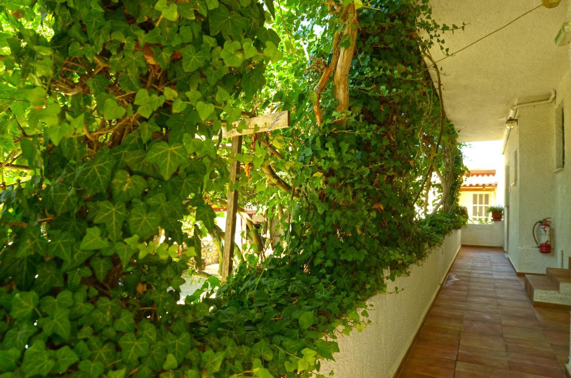 Lemonia Accommodations Agios Sostis  Zewnętrze zdjęcie